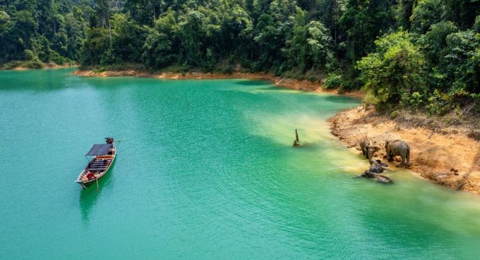 khao-sok-elephant-wildlife-jungle-experience